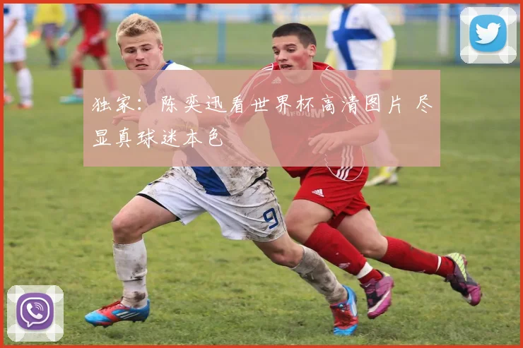 独家：陈奕迅看世界杯高清图片 尽显真球迷本色